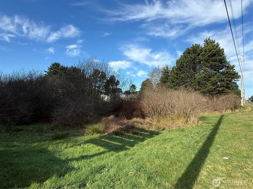 139 Pacific Way Long Beach WA 98631