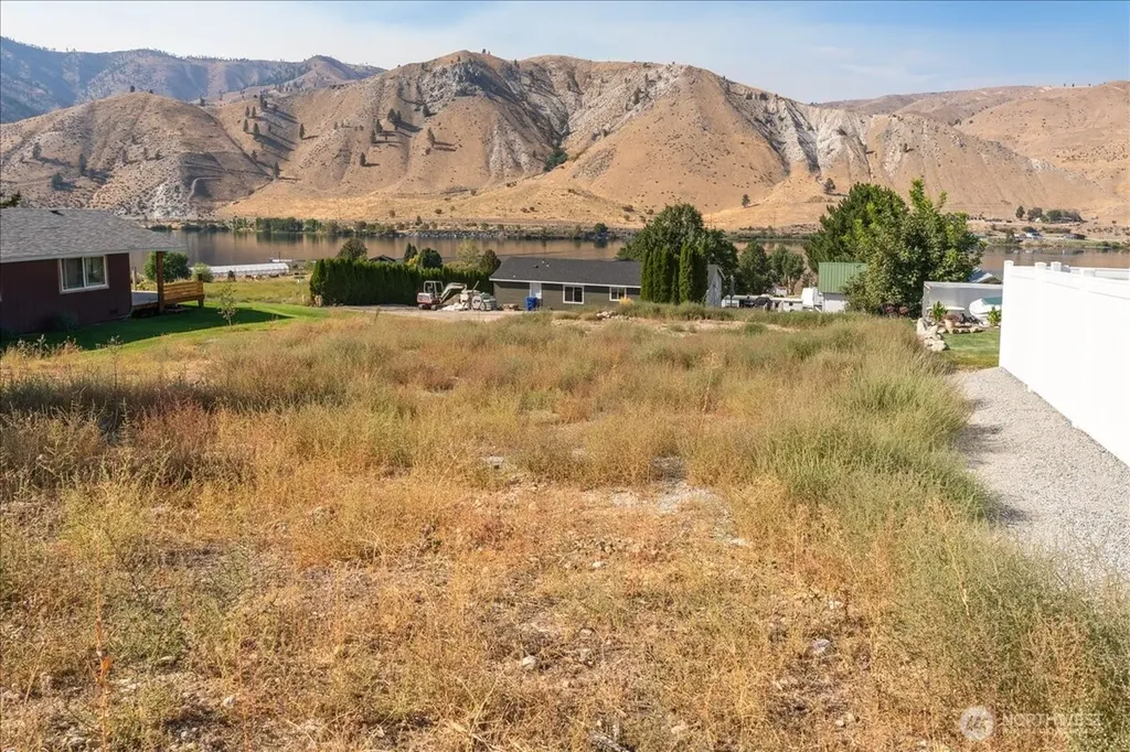 204 Willow View Drive Orondo WA 98843