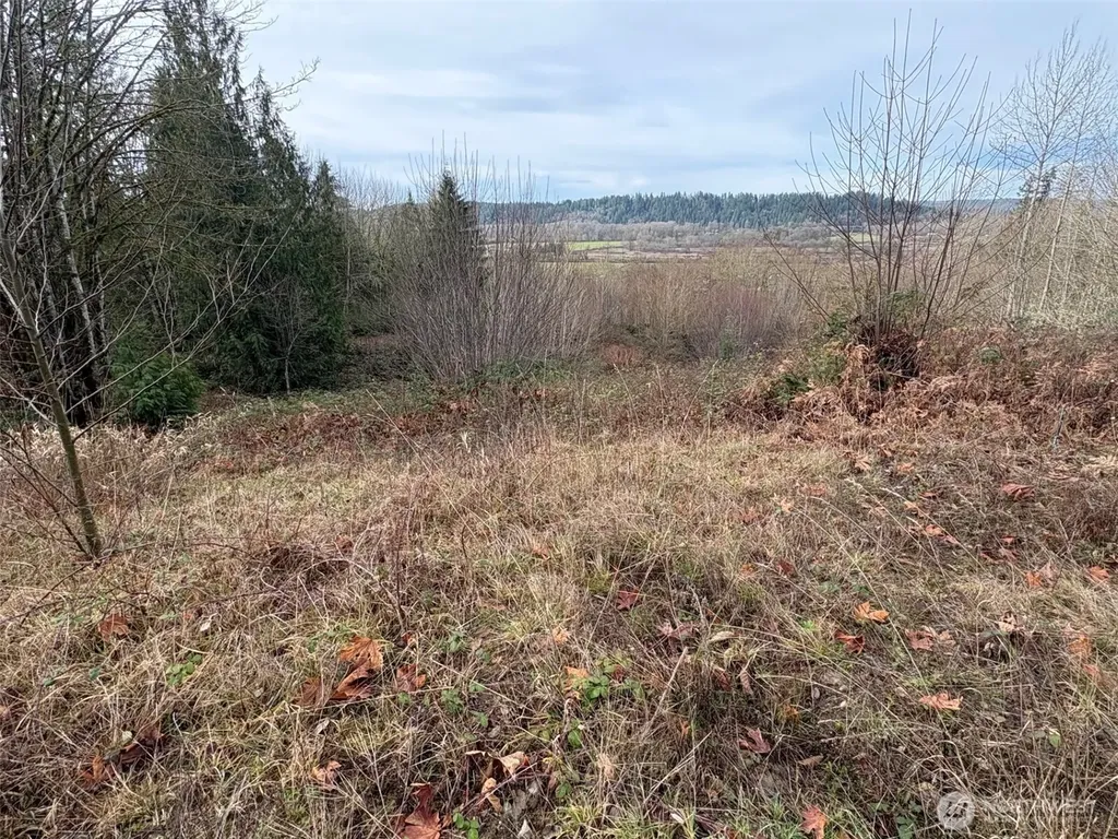 32950 NE 70th Street Carnation WA 98014