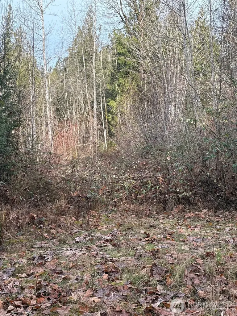 32950 NE 70th Street Carnation WA 98014