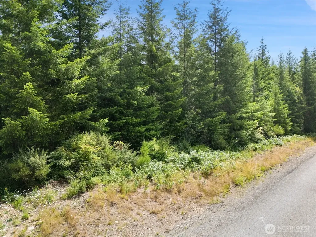 0 W Satsop Road E Elma WA 98541