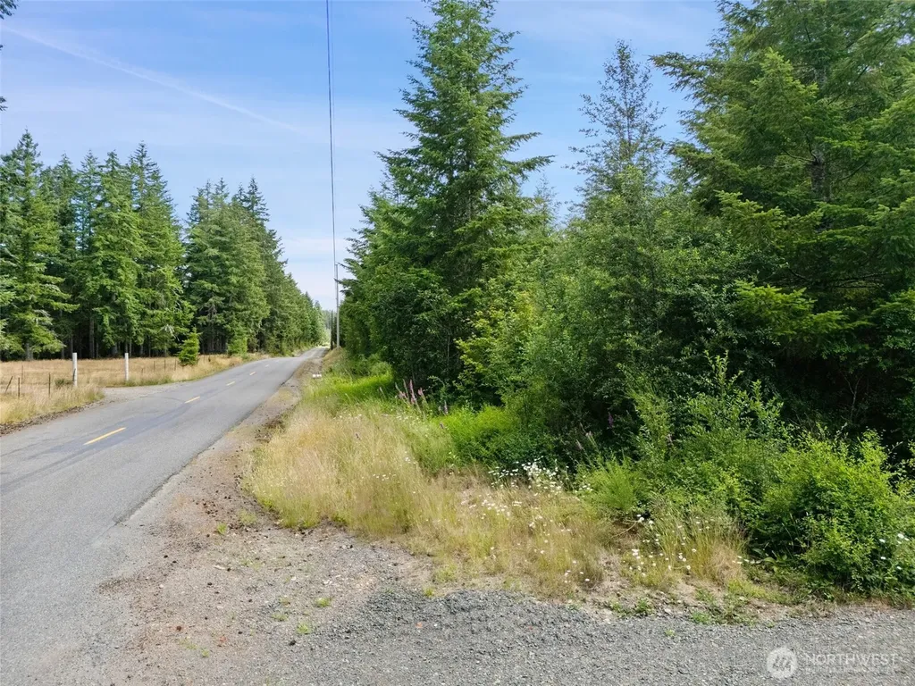 0 W Satsop Road E Elma WA 98541