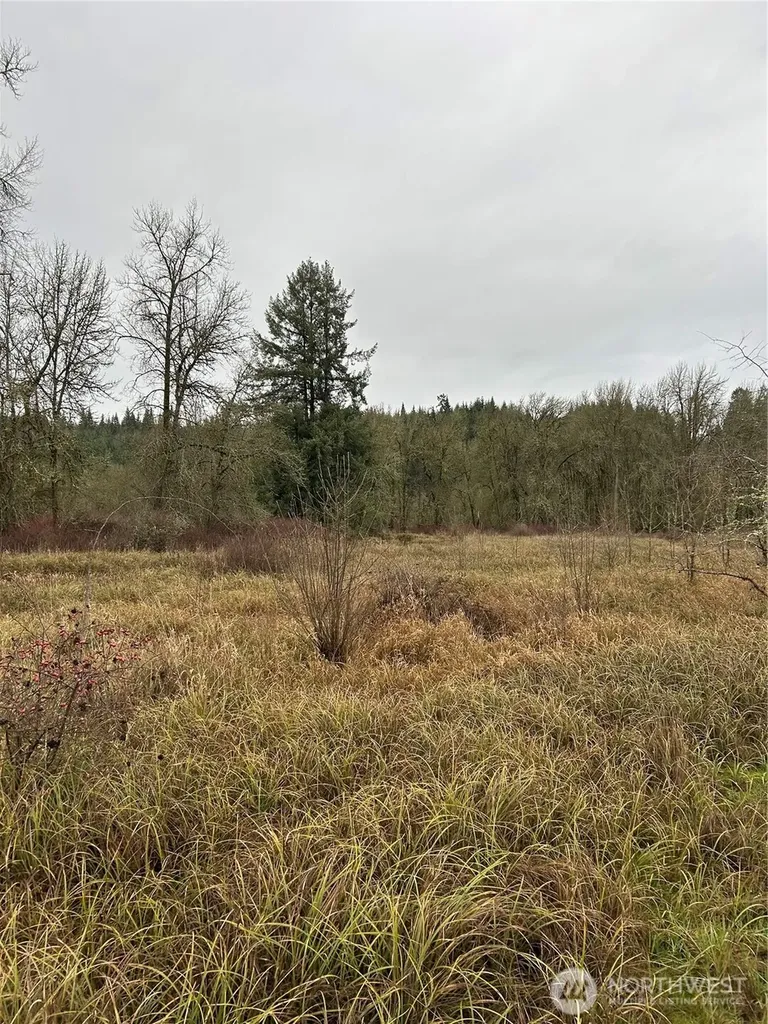 218 Lincoln Creek Road Centralia WA 98531