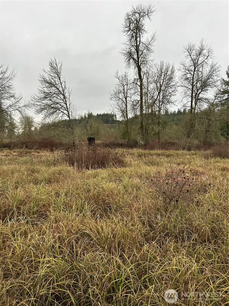 218 Lincoln Creek Road Centralia WA 98531