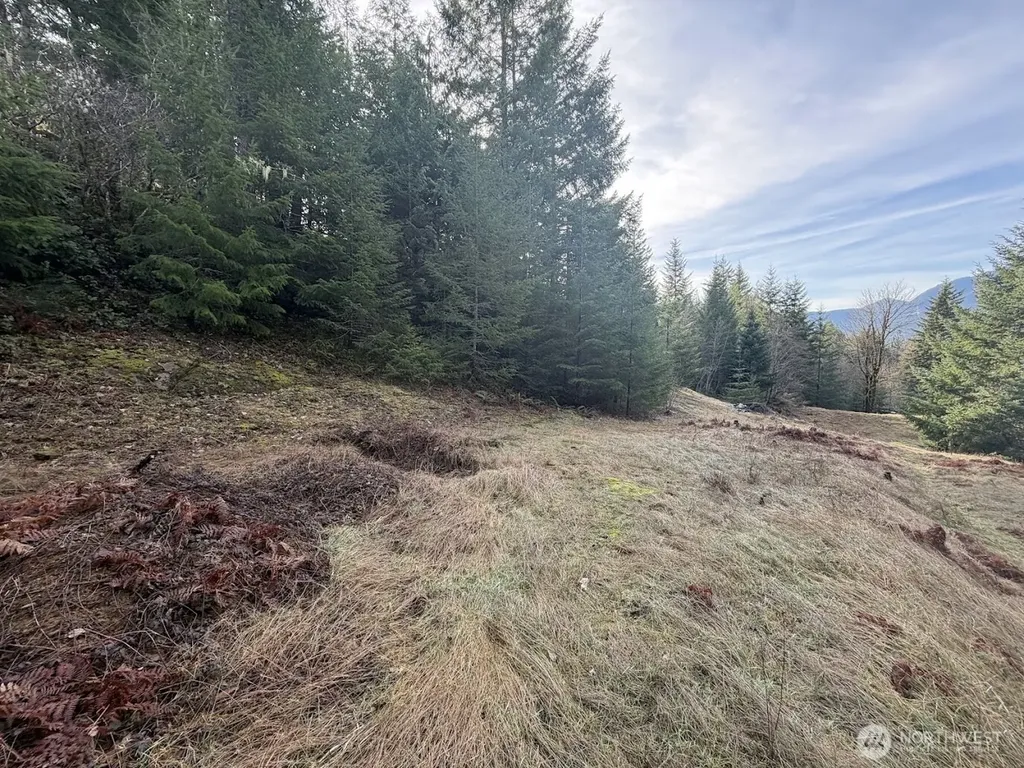 115 Ridge Lane Packwood WA 98361