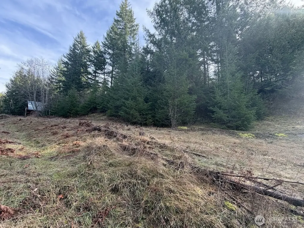 115 Ridge Lane Packwood WA 98361