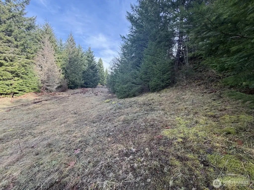 115 Ridge Lane Packwood WA 98361