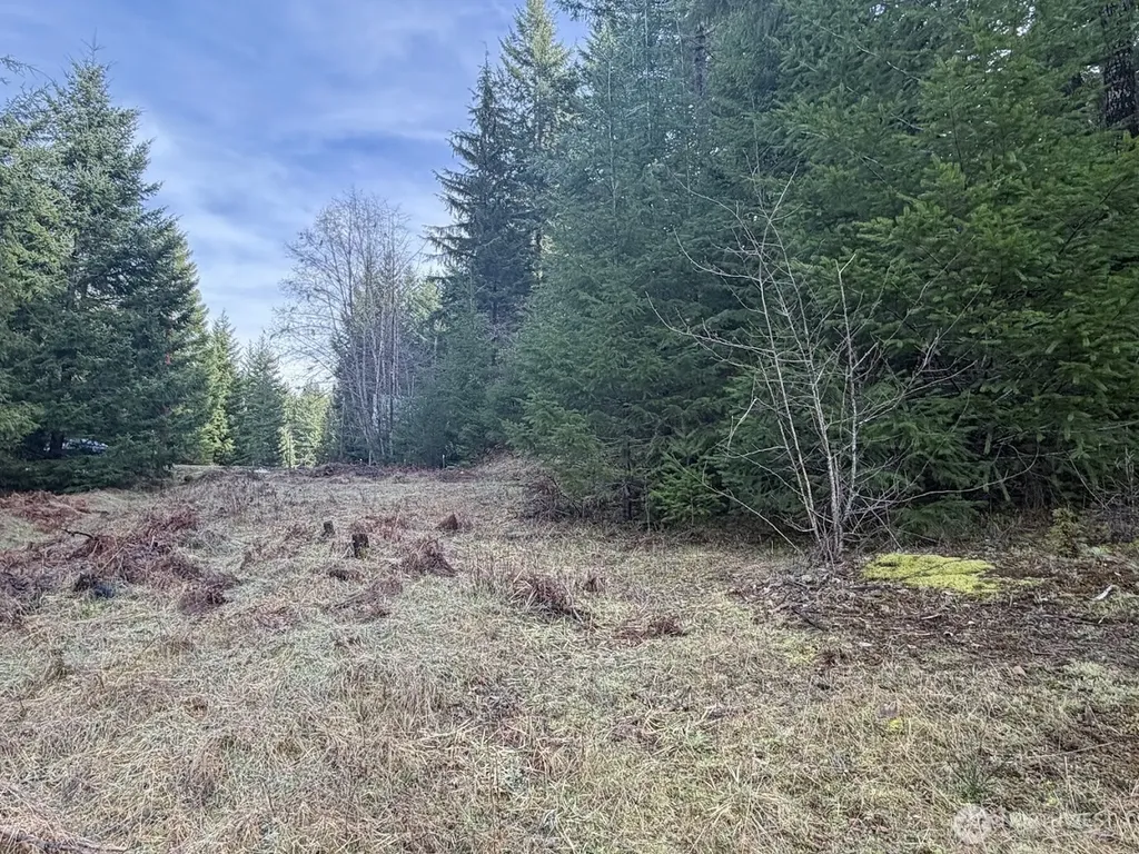 115 Ridge Lane Packwood WA 98361