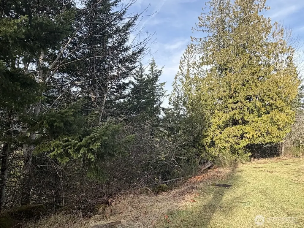 115 Ridge Lane Packwood WA 98361