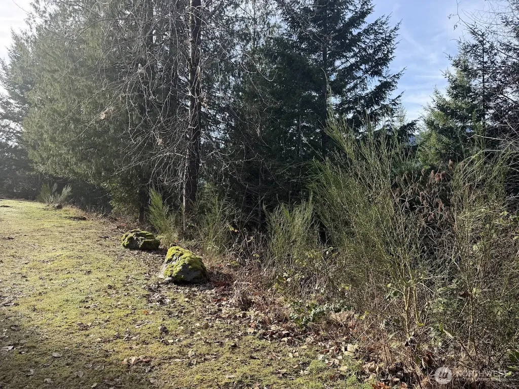115 Ridge Lane Packwood WA 98361