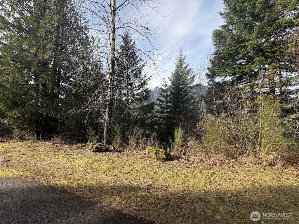 115 Ridge Lane Packwood WA 98361