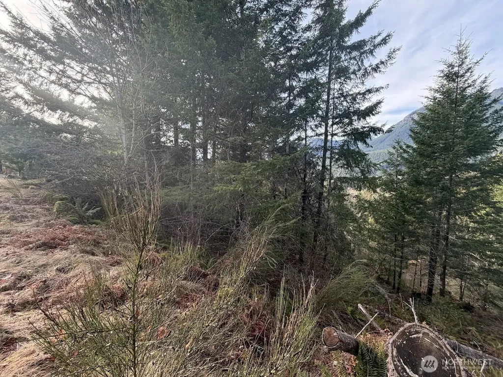 115 Ridge Lane Packwood WA 98361