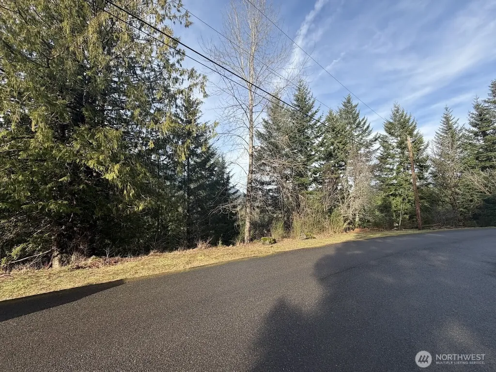 115 Ridge Lane Packwood WA 98361