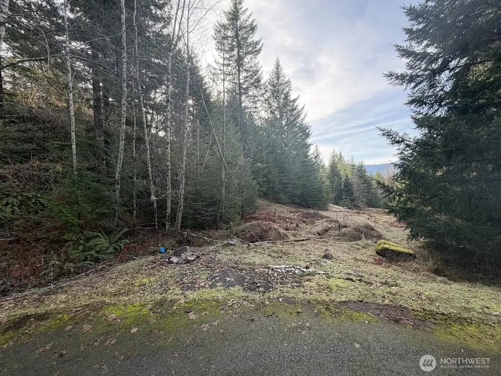 115 Ridge Lane Packwood WA 98361