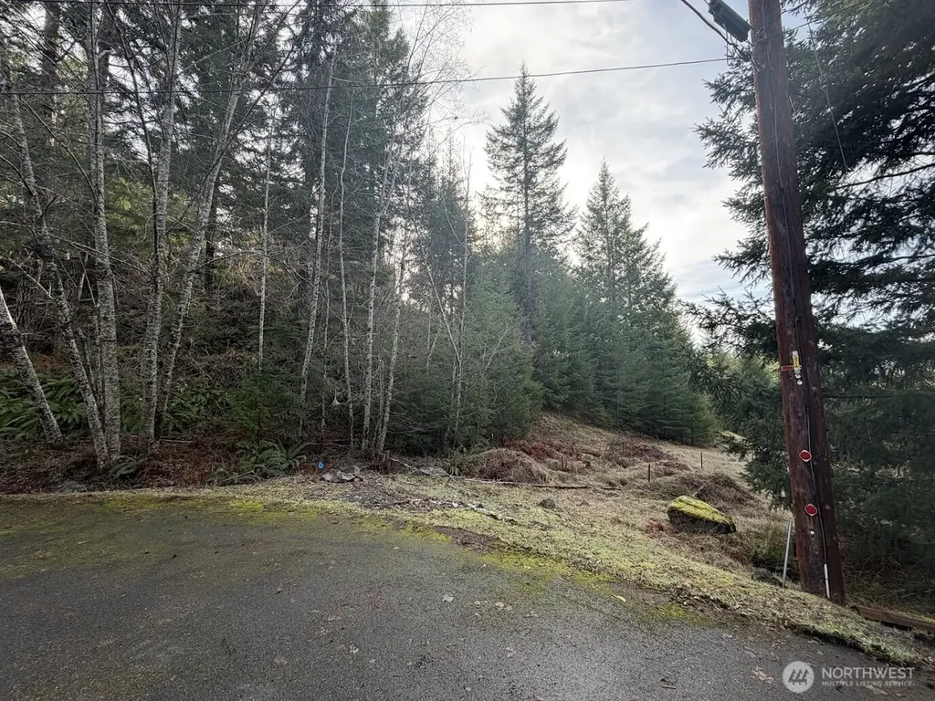 115 Ridge Lane Packwood WA 98361
