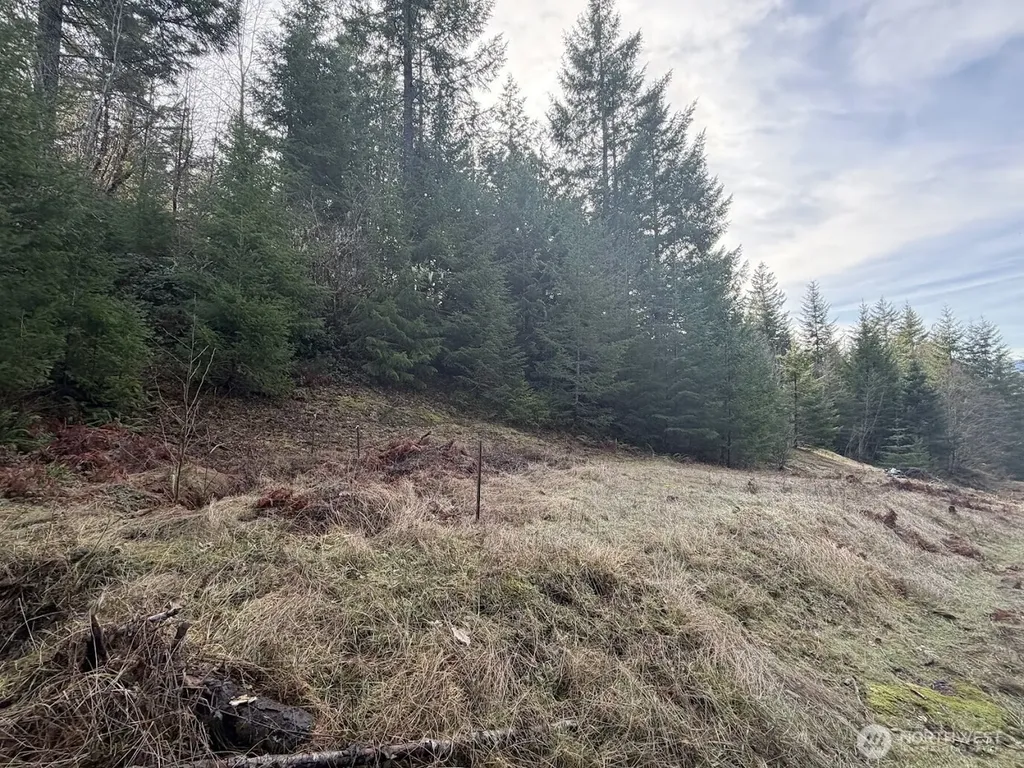 115 Ridge Lane Packwood WA 98361