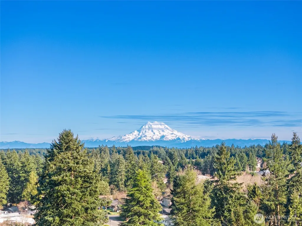 8504 Quinault Drive NE Olympia WA 98516