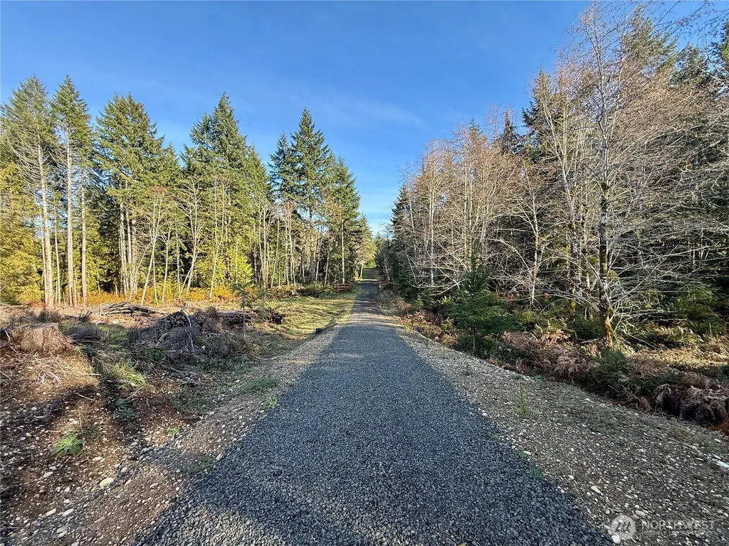 260 E Solbakk Veien Road Shelton WA 98584