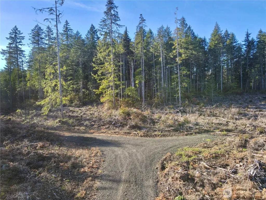 260 E Solbakk Veien Road Shelton WA 98584