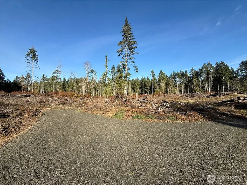 260 E Solbakk Veien Road Shelton WA 98584
