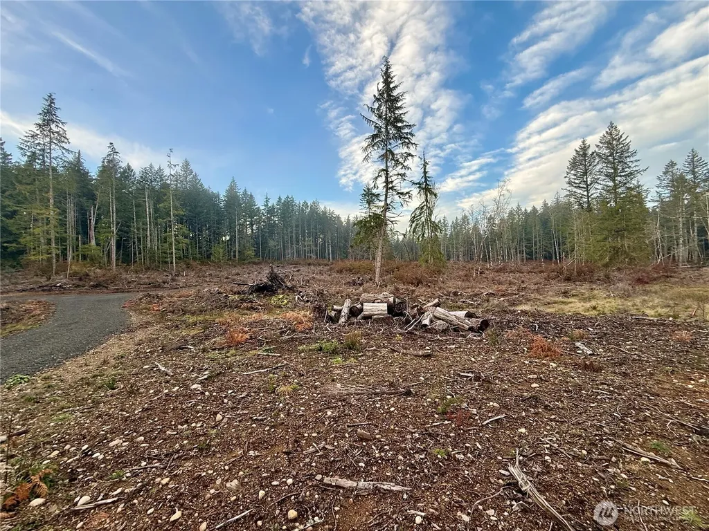 260 E Solbakk Veien Road Shelton WA 98584