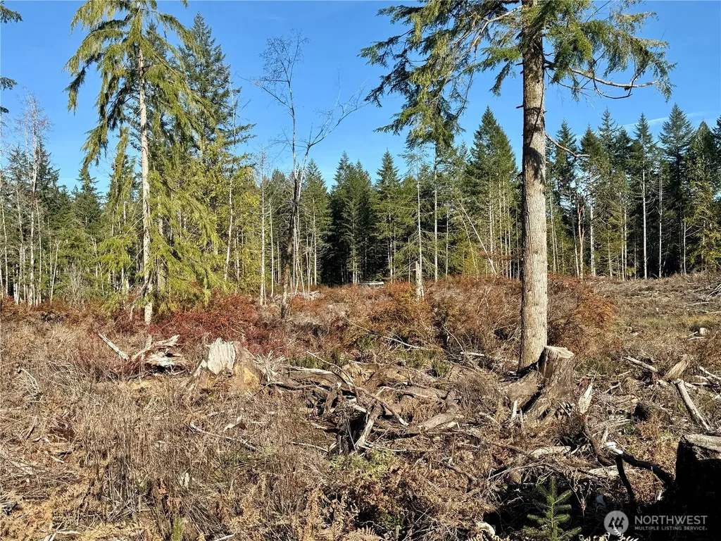 260 E Solbakk Veien Road Shelton WA 98584
