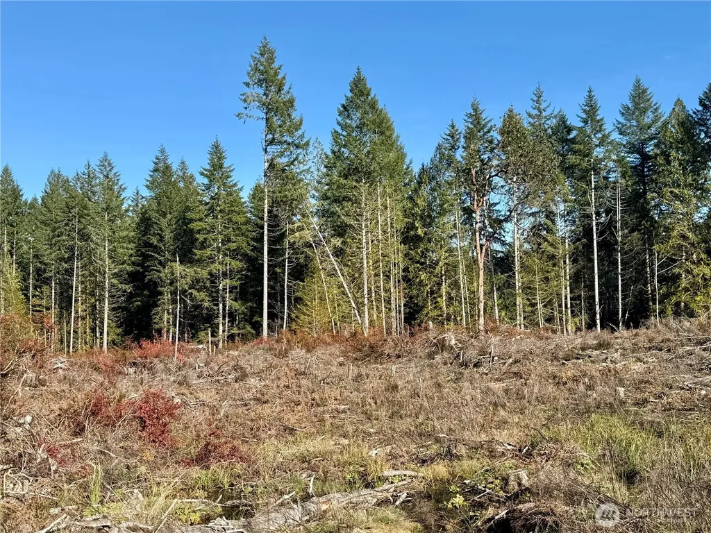 260 E Solbakk Veien Road Shelton WA 98584