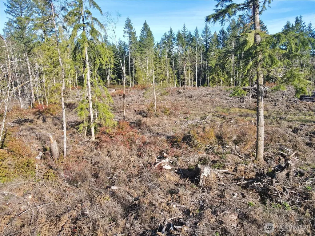 260 E Solbakk Veien Road Shelton WA 98584