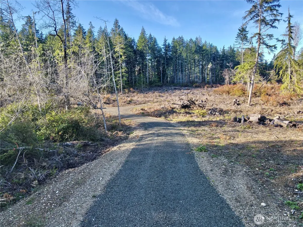 260 E Solbakk Veien Road Shelton WA 98584