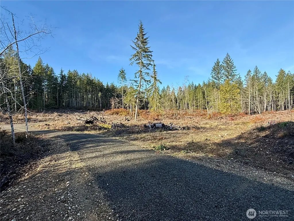 260 E Solbakk Veien Road Shelton WA 98584
