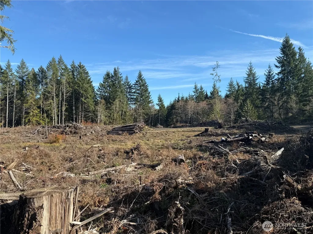 260 E Solbakk Veien Road Shelton WA 98584