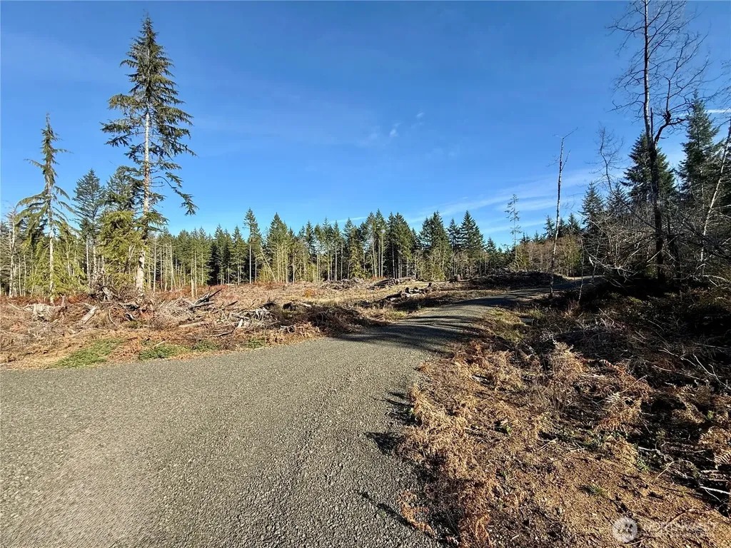 260 E Solbakk Veien Road Shelton WA 98584