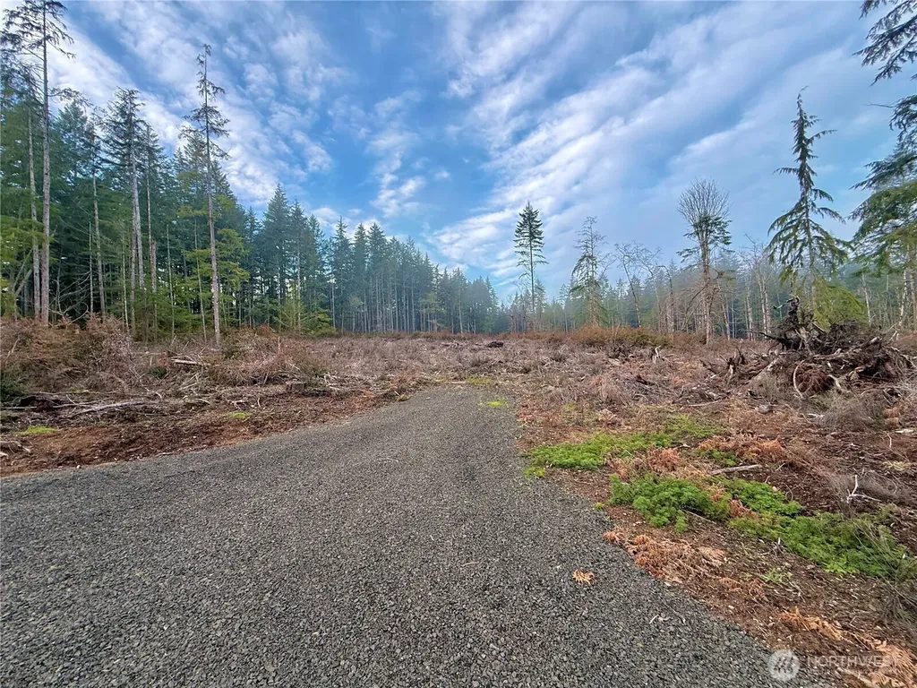 260 E Solbakk Veien Road Shelton WA 98584