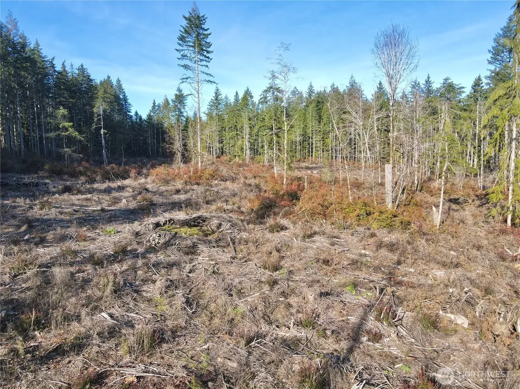 260 E Solbakk Veien Road Shelton WA 98584