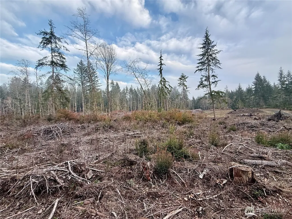 260 E Solbakk Veien Road Shelton WA 98584