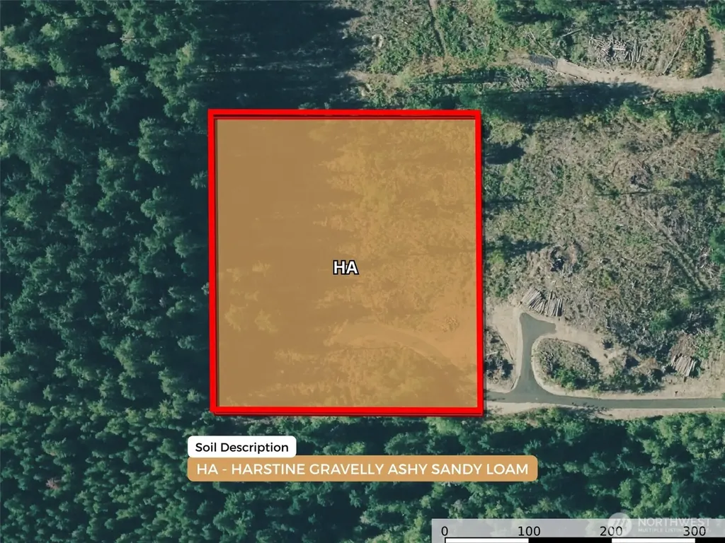260 E Solbakk Veien Road Shelton WA 98584