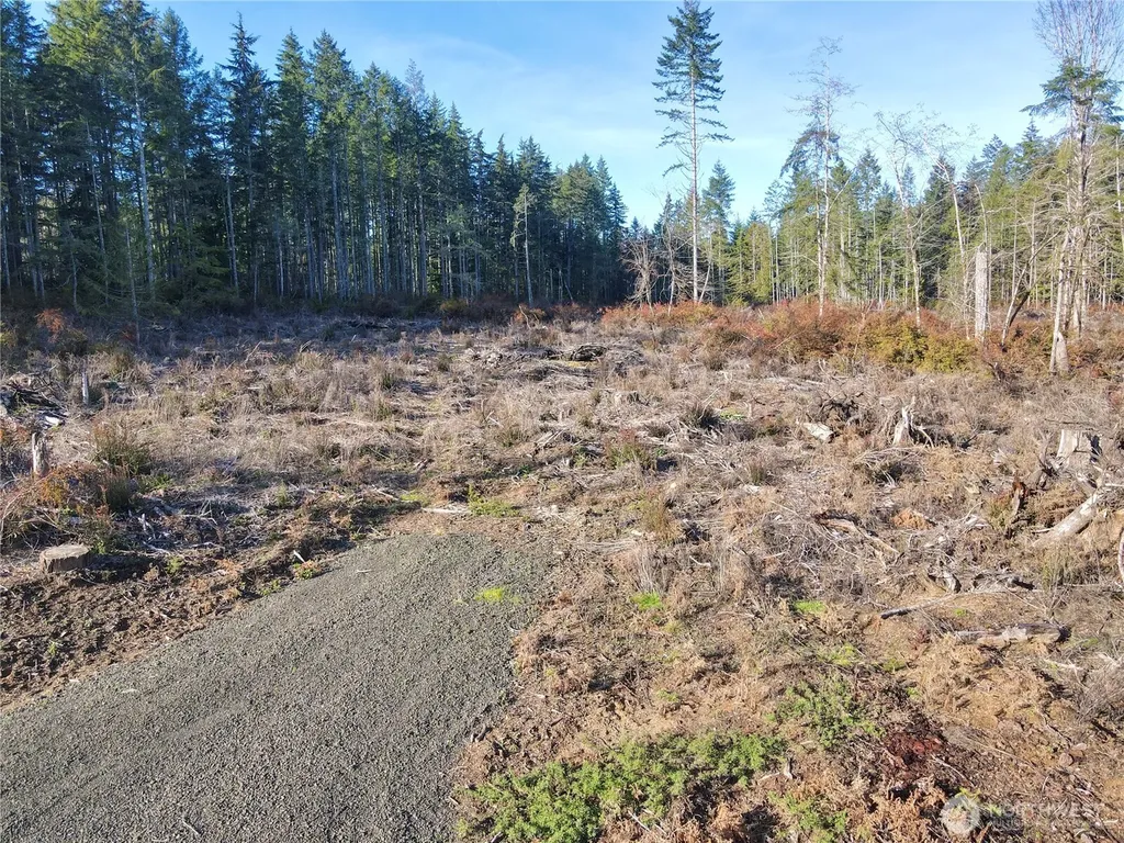 260 E Solbakk Veien Road Shelton WA 98584