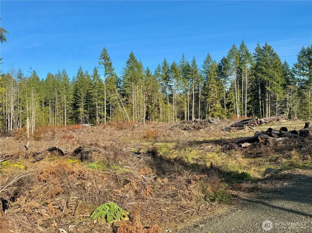 250 E Solbakk Veien Road Shelton WA 98584