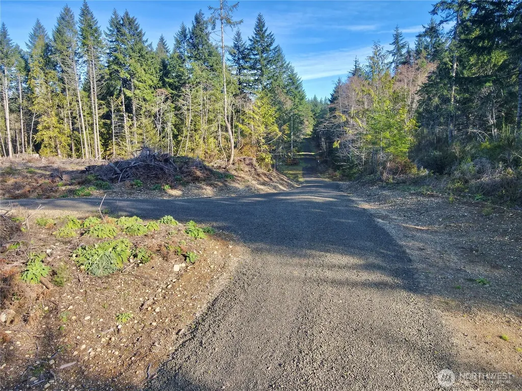 250 E Solbakk Veien Road Shelton WA 98584