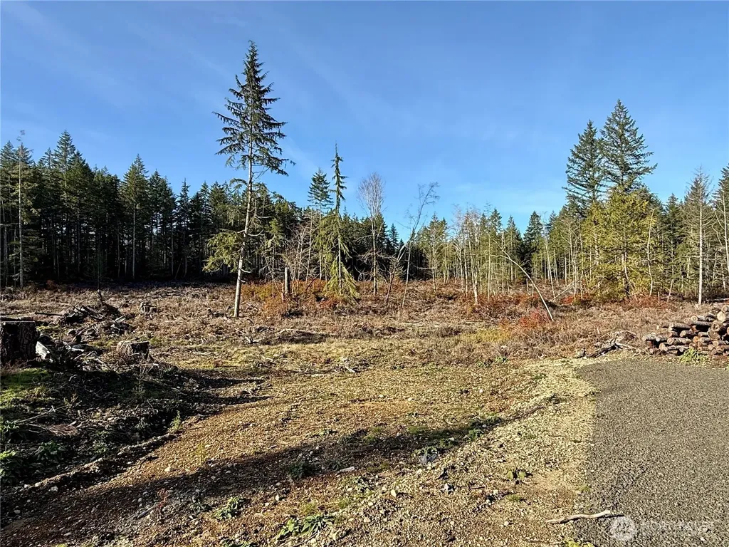 250 E Solbakk Veien Road Shelton WA 98584