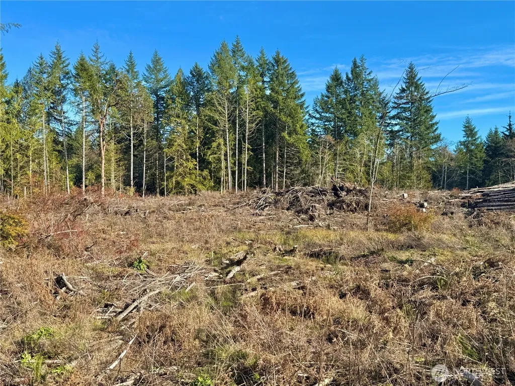 250 E Solbakk Veien Road Shelton WA 98584