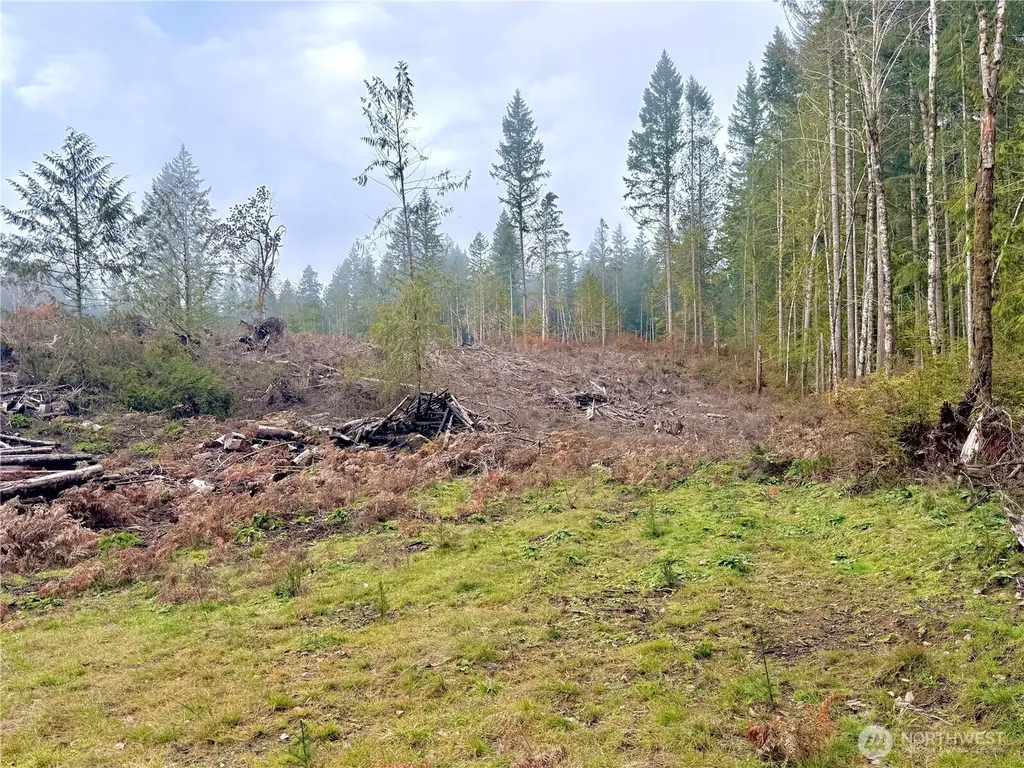 250 E Solbakk Veien Road Shelton WA 98584