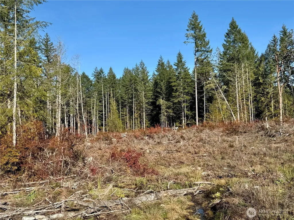 250 E Solbakk Veien Road Shelton WA 98584