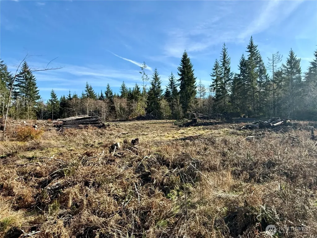 250 E Solbakk Veien Road Shelton WA 98584
