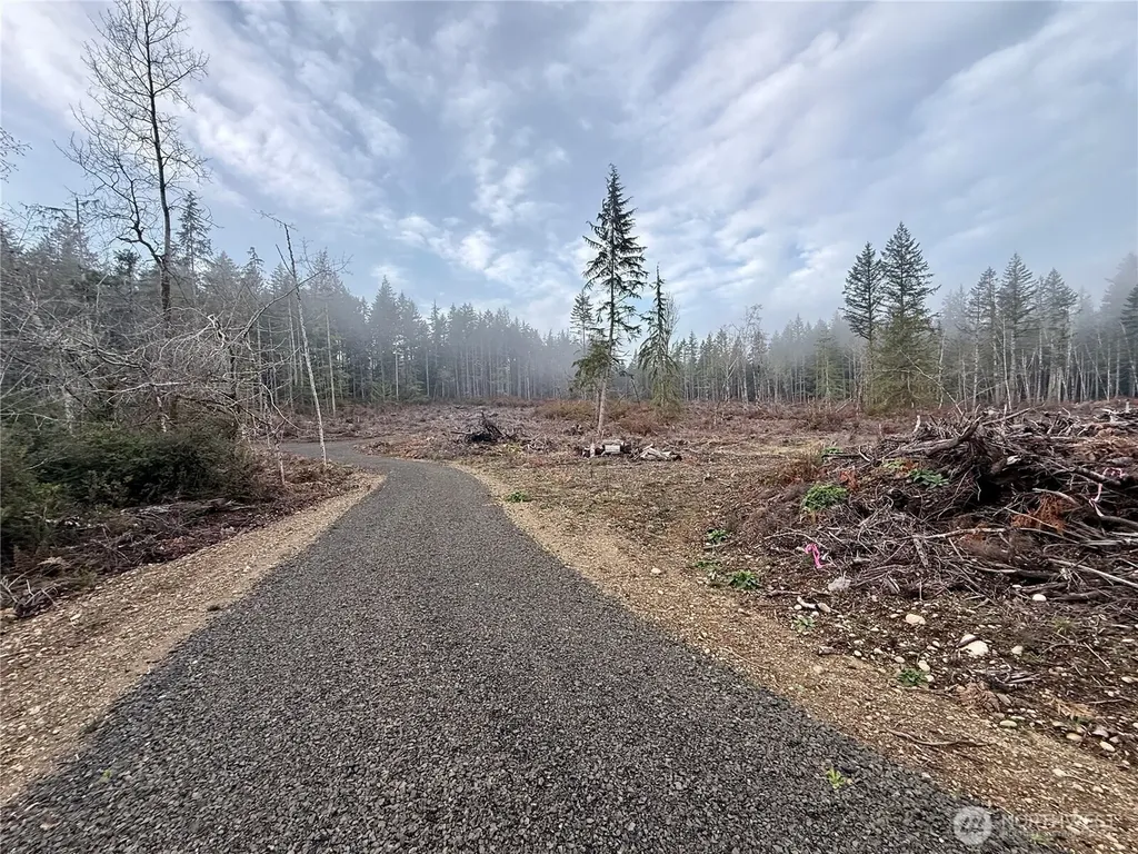 250 E Solbakk Veien Road Shelton WA 98584