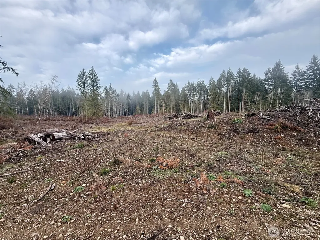 250 E Solbakk Veien Road Shelton WA 98584