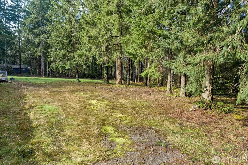 0 Satsop Avenue Shelton WA 98584