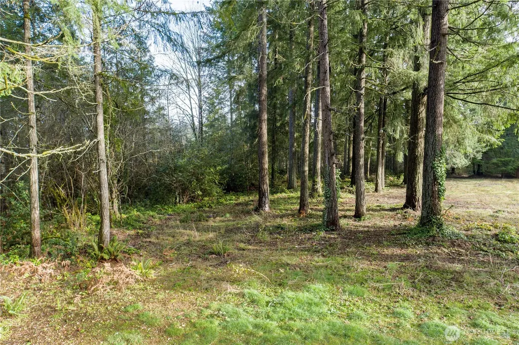 0 Satsop Avenue Shelton WA 98584