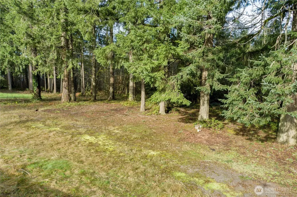 0 Satsop Avenue Shelton WA 98584