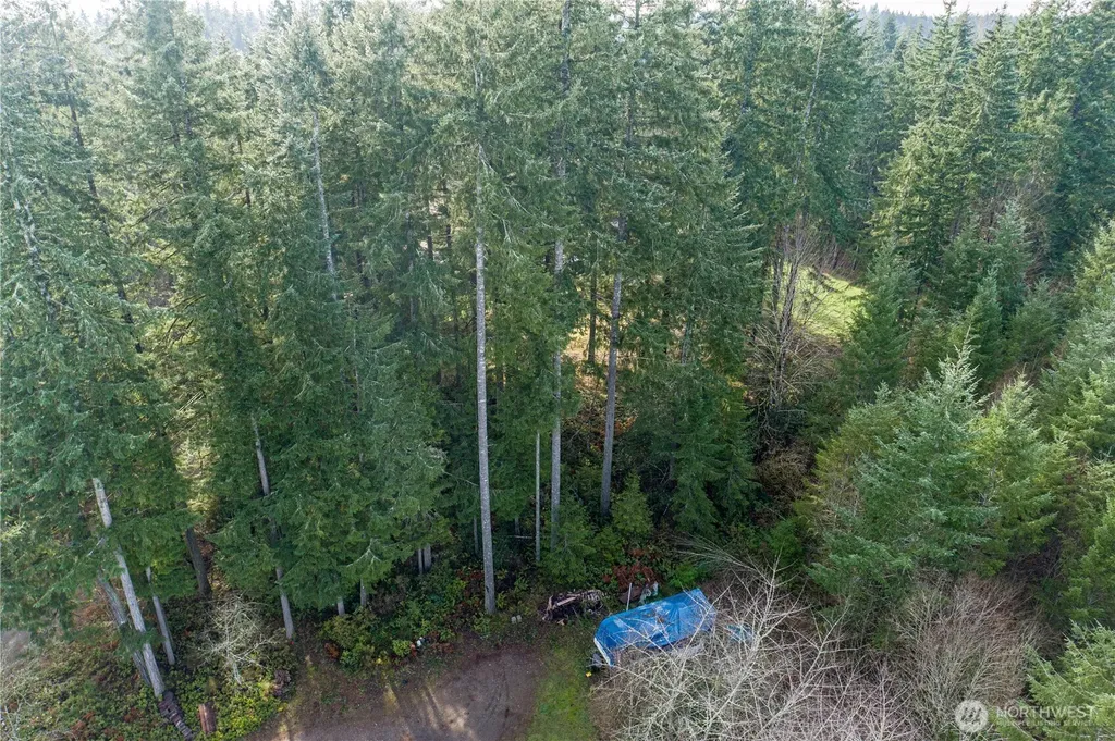 0 Satsop Avenue Shelton WA 98584